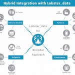 Lobster_Hybrid_Data.jpg